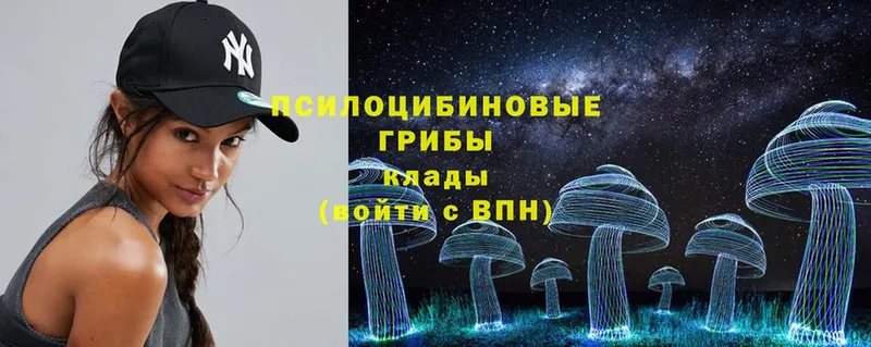 Галлюциногенные грибы Psilocybine cubensis  как найти закладки  Дубна 